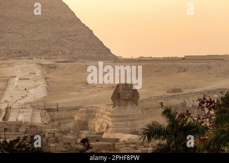 Blick auf die große Sphinx bei Sonnenuntergang in Gizeh, Ägypten Stockfoto