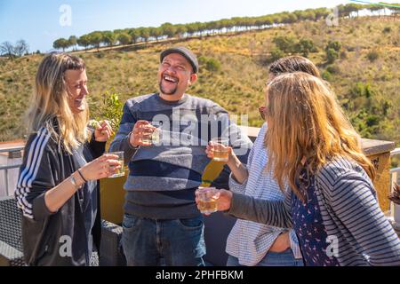Eine Gruppe von vier glücklichen Freunden, die lächeln und mit ihren Gläsern Weißwein anstoßen, um an einem sonnigen Tag wieder zusammen zu sein und ihr Glas zu erhellen Stockfoto