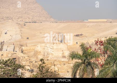 Blick auf die große Sphinx an einem sonnigen Tag in Gizeh, Ägypten Stockfoto
