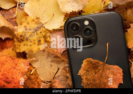 Ein neues iPhone-Telefon mit 13 GB oder 14 GB auf orangefarbenem Laub. Der Herbstverkauf von Telefonen und Geräten umfasst Kopierbereiche. Stockfoto