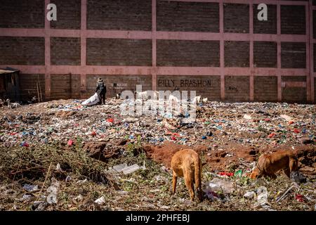 Nairobi Kibera ist der größte Slum Afrikas und einer der größten Slums der Welt, der Müll von der Straße des Slums in Kibera sammelt. Dort leben schätzungsweise 1 Millionen Menschen, die in extremer Armut leben. Eine große Mehrheit der Menschen hat keinen Zugang zu Grundversorgung und medizinischer Versorgung: Nur etwa 20 % der Kibera verfügen über Elektrizität, und das Wasser, das seine Hütten erreicht, ist nicht sauber und verursacht Typhus und Cholera. In den meisten Kibera gibt es keine Toiletten. Die Arbeitslosenquoten sind hoch, und die meisten Menschen können sich keine Bildung für ihre Kinder leisten. Stockfoto