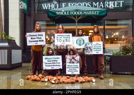 London, Großbritannien. 28. März 2023 PETA-Aktivisten, gekleidet als Ketten-Affen, warfen Kokosnüsse vor dem Whole Foods Market in der Nähe des Piccadilly Circus ab, um gegen die Supermarktkette zu protestieren, die Kokosmilch aus Thailand verkauft. Laut PETA haben ihre Untersuchungen ergeben, dass Affen, die in freier Wildbahn entführt und gezwungen wurden, Kokosnüsse für kommerzielle Zwecke zu pflücken, systematisch verwendet werden. Kredit: Vuk Valcic/Alamy Live News Stockfoto