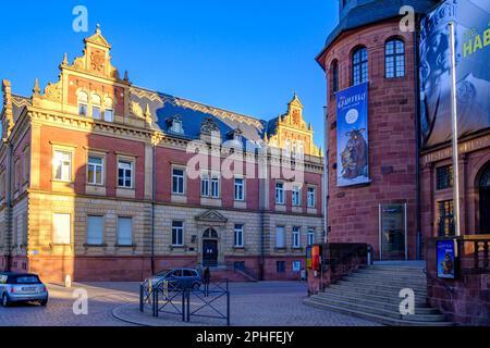 Sitz der Evangelischen Pfalz-Kirche und Historisches Museum von Pfalz gegenüber, Speyer, Rheinland-Pfalz, Deutschland, Europa. Stockfoto