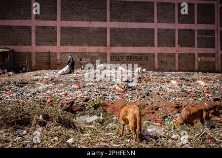 Nairobi Kibera ist der größte Slum Afrikas und einer der größten Slums der Welt, der Müll von der Straße des Slums in Kibera sammelt. Dort leben schätzungsweise 1 Millionen Menschen, die in extremer Armut leben. Eine große Mehrheit der Menschen hat keinen Zugang zu Grundversorgung und medizinischer Versorgung: Nur etwa 20 % der Kibera verfügen über Elektrizität, und das Wasser, das seine Hütten erreicht, ist nicht sauber und verursacht Typhus und Cholera. In den meisten Kibera gibt es keine Toiletten. Die Arbeitslosenquoten sind hoch, und die meisten Menschen können sich keine Bildung für ihre Kinder leisten. (Foto von Simone Boccacci Stockfoto