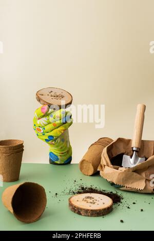 Pflanzen von Tomatensamen für Setzlinge, Hand in Handschuh mit Samen, umweltfreundliche Töpfe und Samen, Ermahlen und Gartengeräte auf grünem Hintergrund Stockfoto