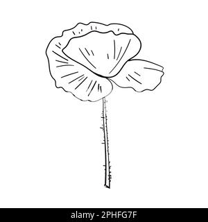 Mohnblume. Darstellung des Konturvektors. Skizzieren. Seitenelement für Farbgebung. Stock Vektor