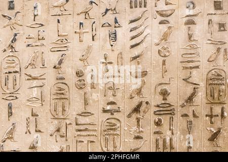 Authentische Hieroglyphen-Inschriften in einer unterirdischen Grabkammer der Pyramide von Djoser in der Saqqara-Nekropole in Gizeh, Ägypten Stockfoto