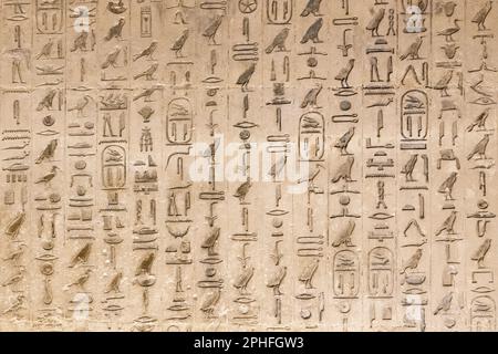 Authentische Hieroglyphen-Inschriften in einer unterirdischen Grabkammer der Pyramide von Djoser in der Saqqara-Nekropole in Gizeh, Ägypten Stockfoto