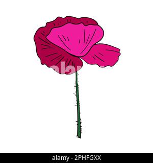 Eine rote Mohnblume in minimalistischem Stil. Skizzierte Vektordarstellung. Stock Vektor