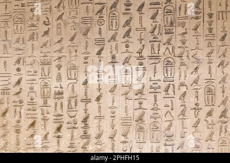 Authentische Hieroglyphen-Inschriften in einer unterirdischen Grabkammer der Pyramide von Djoser in der Saqqara-Nekropole in Gizeh, Ägypten Stockfoto