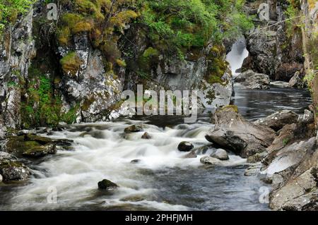 Glen Affric, „Dog Falls“ in River Affric, Glen Affric Forest National Nature Reserve, Inverness-shire, Schottland, Mai 2007 Stockfoto