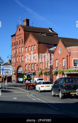 Wadworth shire Horse Max liefert Bier in Devizes per Dray, vorbei an der Brauerei Northgate, wobei die Autos langsam folgen. Stockfoto