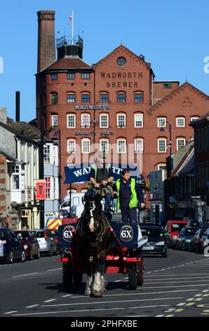 Wadworth shire Horse Max liefert Bier in Devizes per Dray, vorbei an der Northgate Brauerei. Stockfoto