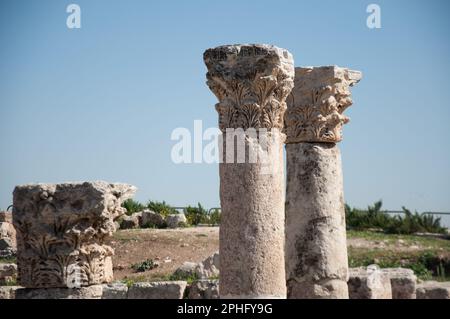 Überreste der byzantinischen Kirche (ca. 530 n. Chr.), der Zitadelle, Amman, Jordanien - Säulen und Hauptstädte früherer römischer Konstruktionen Stockfoto