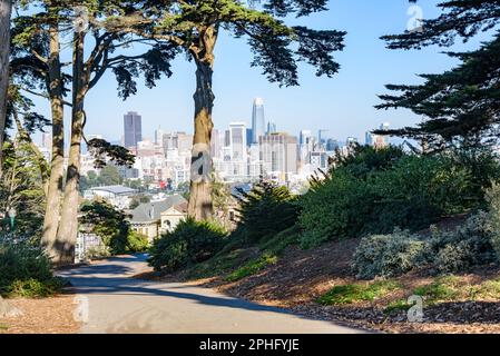 Von einem gewundenen gepflasterten Pfad im öffentlichen Park auf einem Hügel an einem sonnigen Herbsttag aus hat man einen schönen Blick auf die Skyline von San Francisco Stockfoto