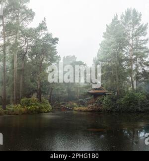 Der Japanise Garden im Tatton Park am See bei Regen auf dem von Bäumen gesäumten Gelände des Herrensitzes in der Cheshire-Landschaft. Stockfoto