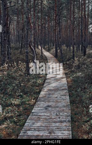 Holzweg, der durch den Sumpf und Wald in einem Naturpark führt. Herbstliche Waldlandschaft Stockfoto