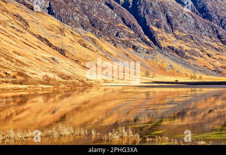 Glen Coe Highland Schottland Blick auf Loch Achtriochtan und Reflexionen des Bergkammes Aonach Eagach Stockfoto