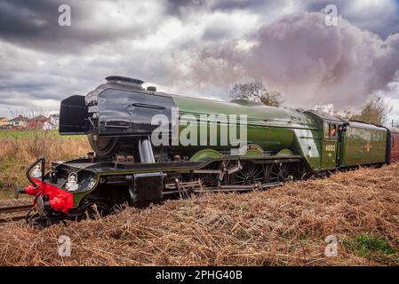 Die Dampflokomotive „Flying Scotsman“ im Centenary Year auf einer Tour durch Lancashire und Yorkshire. Einige Luftbürsten zum Entfernen von Drähten. Stockfoto