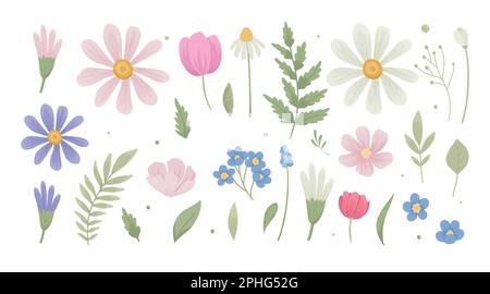 Modernes Blumenset. Abstrakte blühende Blumenpflanzen und Blätter. Frische Sommerblumen, Blätter. Designelemente der Natur. Farbige flache Grafik Stock Vektor