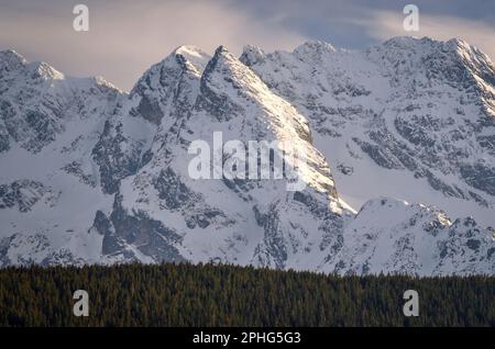 Wunderschöner abendlicher Blick auf die schneebedeckten Berge. Blick auf die Berggipfel vom Gipfel Wielki Kopieniec in der polnischen Tatra. Stockfoto