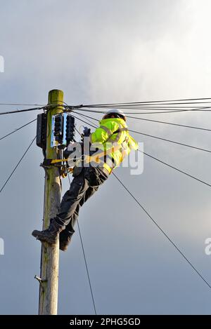 Ein britischer Telekom-Techniker, der Glasfaserkabel oben auf einem Telefonmast installiert, England UK Stockfoto