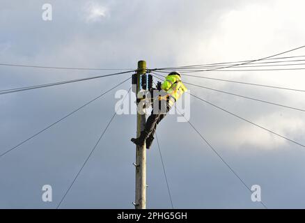 Ein britischer Telekom-Techniker, der Glasfaserkabel oben auf einem Telefonmast installiert, England UK Stockfoto