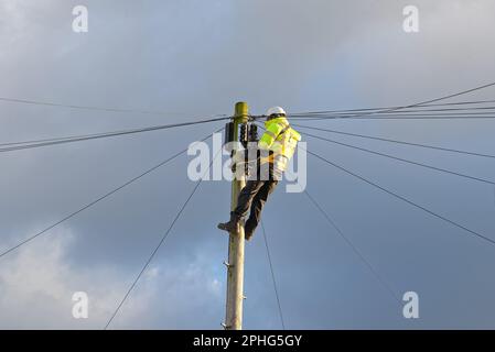 Ein britischer Telekom-Techniker, der Glasfaserkabel oben auf einem Telefonmast installiert, England UK Stockfoto