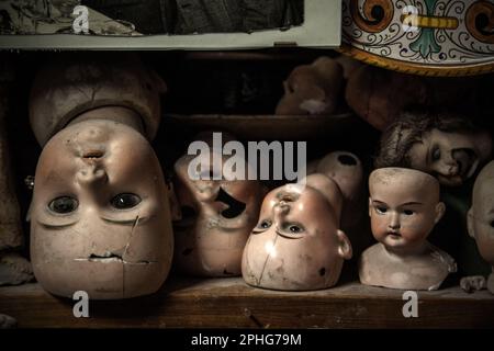 In der Werkstatt der Familie Squatriti in Rom, die auch als „Puppenkrankenhaus“ der Stadt bekannt ist, säumen die Regale mit gebrochenen Köpfen antiker Puppen. Stockfoto