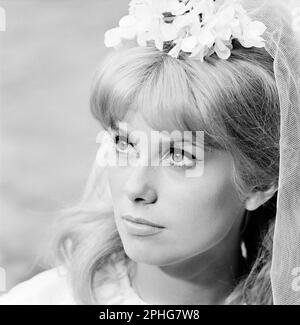 CATHERINE DENEUVE in VICE AND VIRTUE (1963) – ursprünglicher Titel: LE VICE ET LA VERTU – Regie: ROGER VADIM. Kredit: TRIANON-FILME/Album Stockfoto