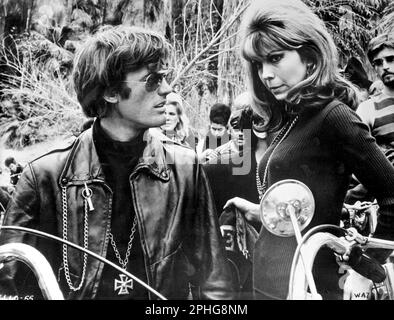 NANCY SINATRA und PETER FONDA in DEN WILDEN ENGELN (1966), Regie Roger CORMAN. Kredit: A.I.P. / Album Stockfoto