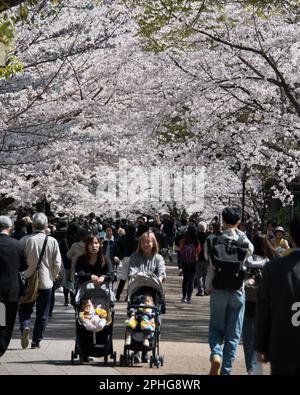 Osaka, Japan. 28. März 2023. Am Dienstag, den 28. März 2023, sehen die Menschen Kirschblüten auf dem Schloss Osaka in Osaka, Japan. Foto: Keizo Mori/UPI Credit: UPI/Alamy Live News Stockfoto