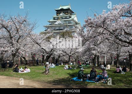 Osaka, Japan. 28. März 2023. Am Dienstag, den 28. März 2023, sehen die Menschen Kirschblüten auf dem Schloss Osaka in Osaka, Japan. Foto: Keizo Mori/UPI Credit: UPI/Alamy Live News Stockfoto