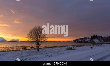 Abendrot mit Brücke, Rastplatz und Baum; Panorama, Verschneite Berge in Senja, Norwegen. roten Wolken spiegeln sich in Wasser des Fjords bei Skaland Stockfoto