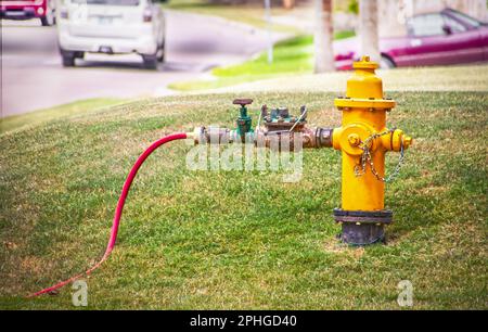 Gelber Feuerhydrant – Wasserleitung mit Armaturenkupplung und Messgerät zur Befestigung eines kleinen roten Schlauchs zur Bewässerung Stockfoto