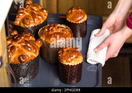 Osterkuchen. Die Süßspeise nimmt frisch zubereitete osterprodukte aus dem Ofen Stockfoto