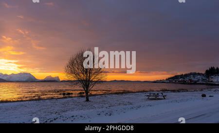 Abendrot mit Brücke, Rastplatz und Baum; Panorama, Verschneite Berge in Senja, Norwegen. roten Wolken spiegeln sich in Wasser des Fjords bei Skaland Stockfoto