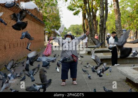 28. März 2023, Chiang Mai, Chiang Mai, Thailand: Eine Frau in einer Gesichtsmaske verjagt Tauben, nachdem sie sie gefüttert hat, um Geld von Touristen zu verdienen, die mit den Tieren fotografiert werden wollen am Tha Phae Gate in Chiang Mai, Thailand, wo die Luftqualität am Sonntag (26. März 26) mit einem Luftindex von 180 die schlechteste der Welt war. Am Dienstag (28. März), als dieses Foto aufgenommen wurde, war es 155. Die schlechte Luft wird zum Teil dadurch verursacht, dass die Landwirte während der Trockenzeit des Landes ihre Felder in Vorbereitung auf die in den letzten Jahren zunehmende Pflanzsaison verbrennen. (Kreditbild: © Brennan O'Connor/ZUMA PR Stockfoto