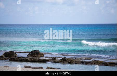 Unberührter Strand mit Felsen am Karibischen Meer in Cozumel, Mexiko, Panoramaaufnahme. Stockfoto