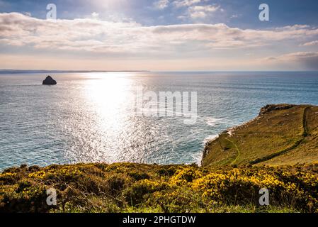 Blick über Penhallic Point und Gull Rock in Trebarwith Strand, Tintagel, Cornwall, Großbritannien Stockfoto