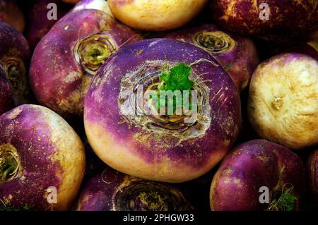 Eine Auswahl handgepflückter Bio-Rüben vom Bauernmarkt Stockfoto