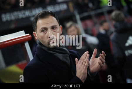 Köln, Deutschland. 28. März 2023. Der belgische Cheftrainer Domenico Tedesco zeigte sich zu Beginn eines Freundschaftsspiels zwischen der deutschen Fußballnationalmannschaft und der belgischen Fußballnationalmannschaft Red Devils am Dienstag, den 28. März 2023 in Köln. BELGA PHOTO VIRGINIE LEFOUR Kredit: Belga News Agency/Alamy Live News Stockfoto