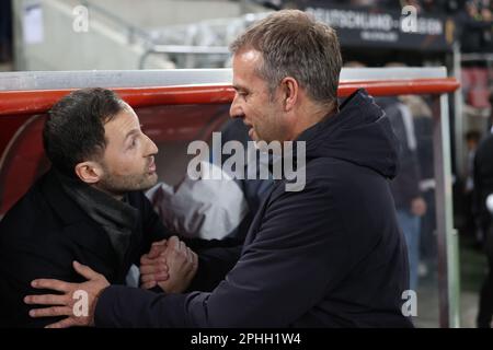 Köln, Deutschland. 28. März 2023. Der belgische Cheftrainer Domenico Tedesco und der deutsche Cheftrainer Hans-Dieter Flick schütteln sich zu Beginn eines freundschaftlichen Spiels zwischen der deutschen Fußballnationalmannschaft und der belgischen Fußballnationalmannschaft Red Devils am Dienstag, den 28. März 2023 in Köln die Hände. BELGA PHOTO VIRGINIE LEFOUR Kredit: Belga News Agency/Alamy Live News Stockfoto