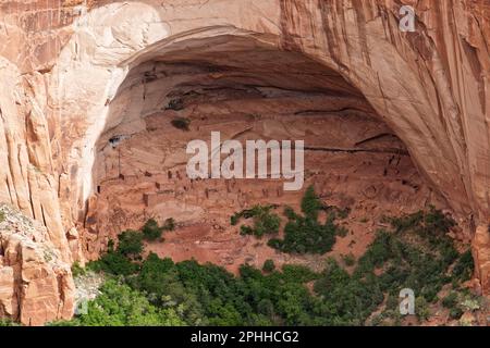 Blick auf die Klippensiedlung Betatakin (bedeutet „Haus auf dem Vorsprung“), die sich unter einer großen Felsenhalle in der Navajo Nation im Norden Arizonas, USA, befindet Stockfoto