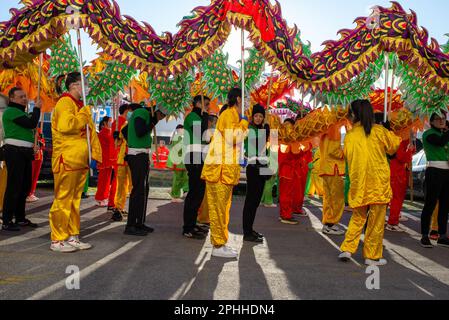 Feiern zum chinesischen Neujahr in Prato einer der größten chinesischen Gemeinden Italiens mit Parade und Shows für das Jahr des Hasen Stockfoto