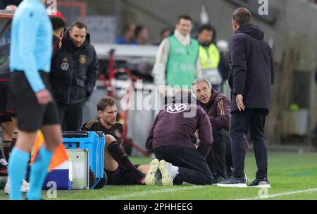 Köln, Deutschland. 28. März 2023. firo: 28.03.2023, Fußball: DFB-Nationalmannschaft, Männer-Landspiel, Männer, Freundschaftsspiel GER, Deutschland - Belgien, BEL Leon Goretzka, verletzt, wird behandelt Kredit: dpa/Alamy Live News Stockfoto