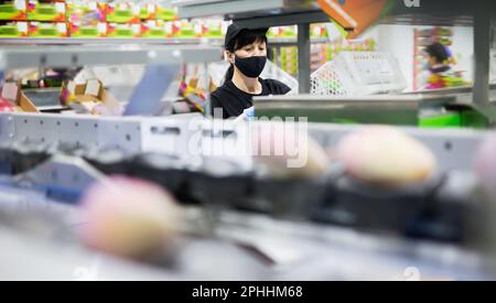 Fokussierte weibliche Mitarbeiterin trägt Gesichtsschutzmaske Arbeit in Obstlager Tragen Box mit Mangos Stockfoto