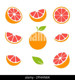 Grapefruitscheiben. Vektordarstellung isoliert Stock Vektor