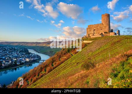 Burg Landshut auf einem Weinberg über der Stadt Bernkastel Kues im Moseltal Stockfoto