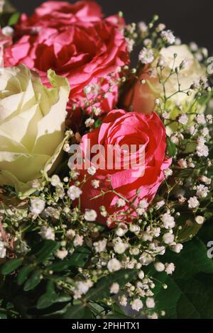Nahaufnahme von pinkfarbenen und weißen Rosen, Blumenstrauß mit Grün. Stockfoto